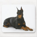 Suche nach pinscher mousepads Doberman