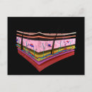 Suche nach hauen postkarten Physiologie