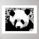 Suche nach panda liebe poster Tier