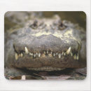 Suche nach tierkopf mousepads Wild lebende tiere