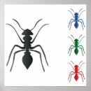 Suche nach ants poster Insects