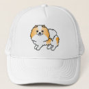 Suche nach orange farbe kappen Hund