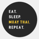 Suche nach muay thai aufkleber Kickboxen