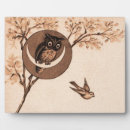Suche nach eulen fotoplatten Vögel