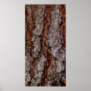 Suche nach baumrinden poster Natur