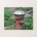 Suche nach hydrant Blume
