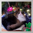 Suche nach weihnachtskatzen poster Katzenliebhaber