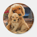 Suche nach labrador magnete Lustig