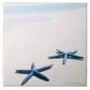 Suche nach rand fliesen Natur