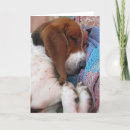 Suche nach basset karten Haustier