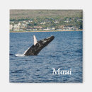 Suche nach maui magnete Souvenir