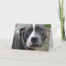 Suche nach hundegeburtstags karten Terrier