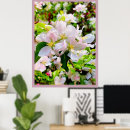 Suche nach obstbaum poster Naturfotografie