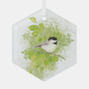 Suche nach kichererbsen ornamente Aquarell