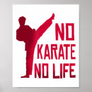 Suche nach karate poster Kampfsport
