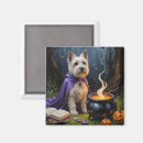 Suche nach cairns magnete Hund