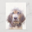 Suche nach bloodhound postkarten Niedlich