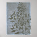 Suche nach bleu poster Botanisch