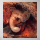 Suche nach embryo poster Baby