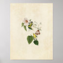 Suche nach vogeldruck poster Wandkunst