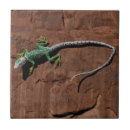 Suche nach eidechsen fliesen Wüste