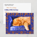 Suche nach pets postkarten Haustiere