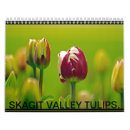 Suche nach tulpe kalender Blumen