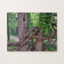 Suche nach umarmung puzzle Baum