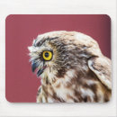 Suche nach weiße eule mousepads Vögel