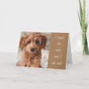 Suche nach ernsthaft karten Hund