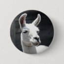 Suche nach lächelndes tier buttons Spaß