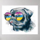 Suche nach sunglasses poster Pet