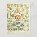 Suche nach vintage zeichnungen postkarten Buch