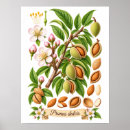 Suche nach wissenschaftliche poster Naturgeschichte