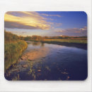 Suche nach jackson mousepads Fluss