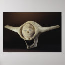 Suche nach artefakte poster Amerikanisch