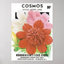 Suche nach kosmos kunst Rosa blume