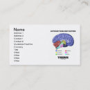 Suche nach denken sie visitenkarten Brain