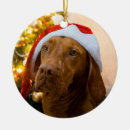 Suche nach vizsla ornamente Verzierung