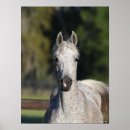 Suche nach arabische sprache poster Grau