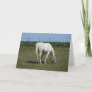 Suche nach weißes pferd karten Tiere