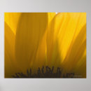 Suche nach nahaufnahme poster Natur