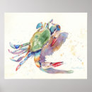 Suche nach rote krabbe poster Meer