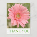 Suche nach gerbera blume karten Grün