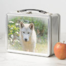Suche nach wolf brotdosen Kaninchen