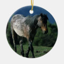Suche nach mein mustang ornamente Foto