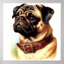 Suche nach niedlicher mops poster Niedliche hunde