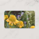 Suche nach blume visitenkarten Natur