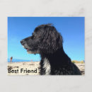 Suche nach bester freund postkarten Friend