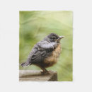 Suche nach rotkehlchen decken Vogel